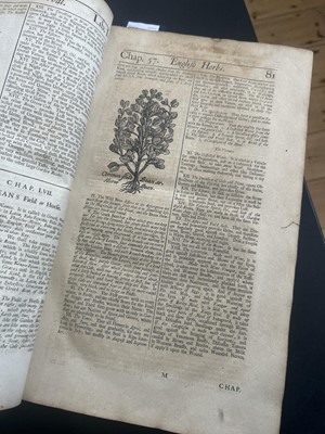 Lot 68 - (Herbal) William Salmon