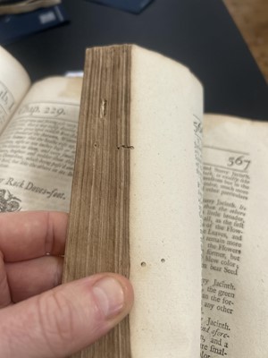 Lot 68 - (Herbal) William Salmon