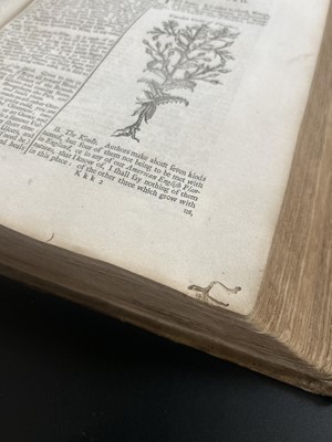 Lot 68 - (Herbal) William Salmon