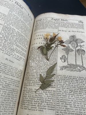 Lot 68 - (Herbal) William Salmon