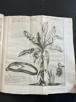 Lot 10 - (Ethiopia) Hiob Ludolf