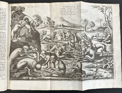 Lot 10 - (Ethiopia) Hiob Ludolf