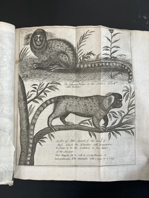 Lot 10 - (Ethiopia) Hiob Ludolf