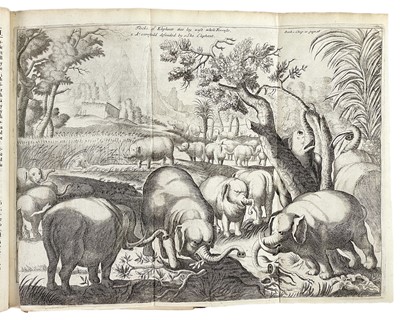 Lot 10 - (Ethiopia) Hiob Ludolf