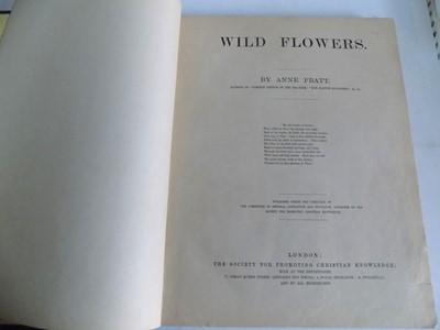 Lot 1414 - ANNE PRATT. "Wild Flowers." 192 colour...