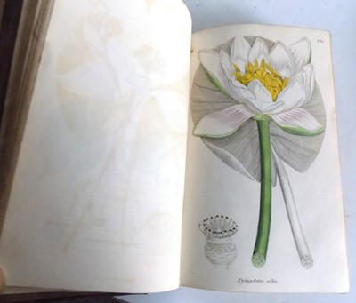 Lot 1416 - SIR JAMES EDWARD SMITH. "English Botany, or,...