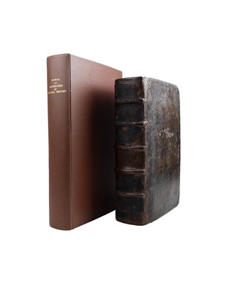 Lot [Walter Raleigh]