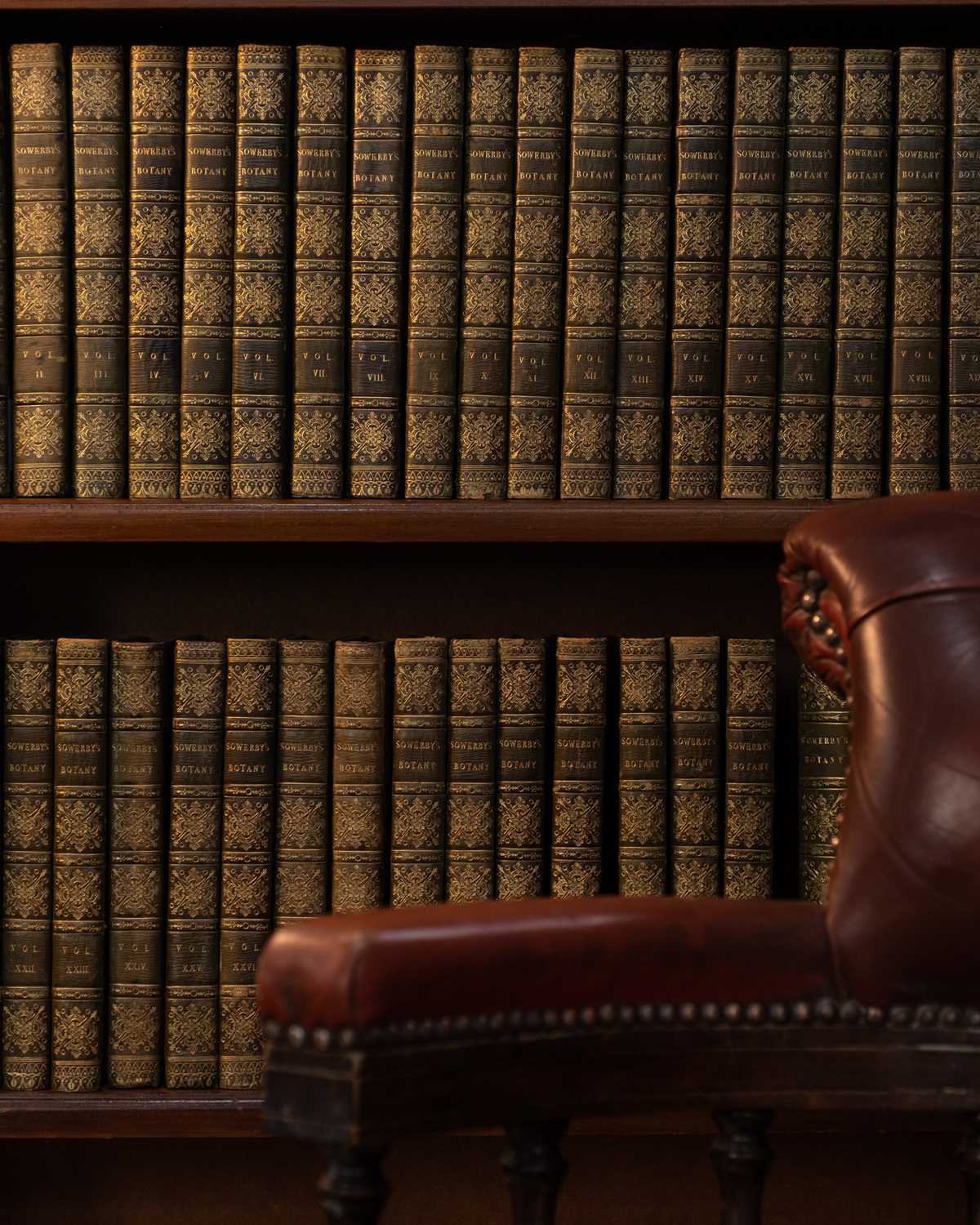 Lot 8 - (Fine Binding) James Sowerby and Sir James Smith