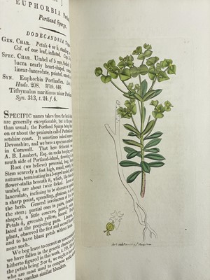 Lot 8 - (Fine Binding) James Sowerby and Sir James Smith