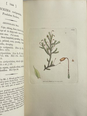 Lot 8 - (Fine Binding) James Sowerby and Sir James Smith