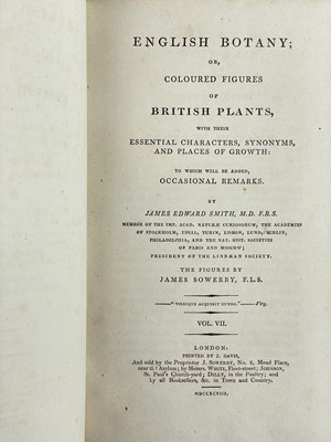 Lot 8 - (Fine Binding) James Sowerby and Sir James Smith