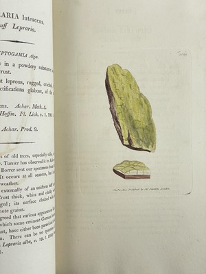 Lot 8 - (Fine Binding) James Sowerby and Sir James Smith