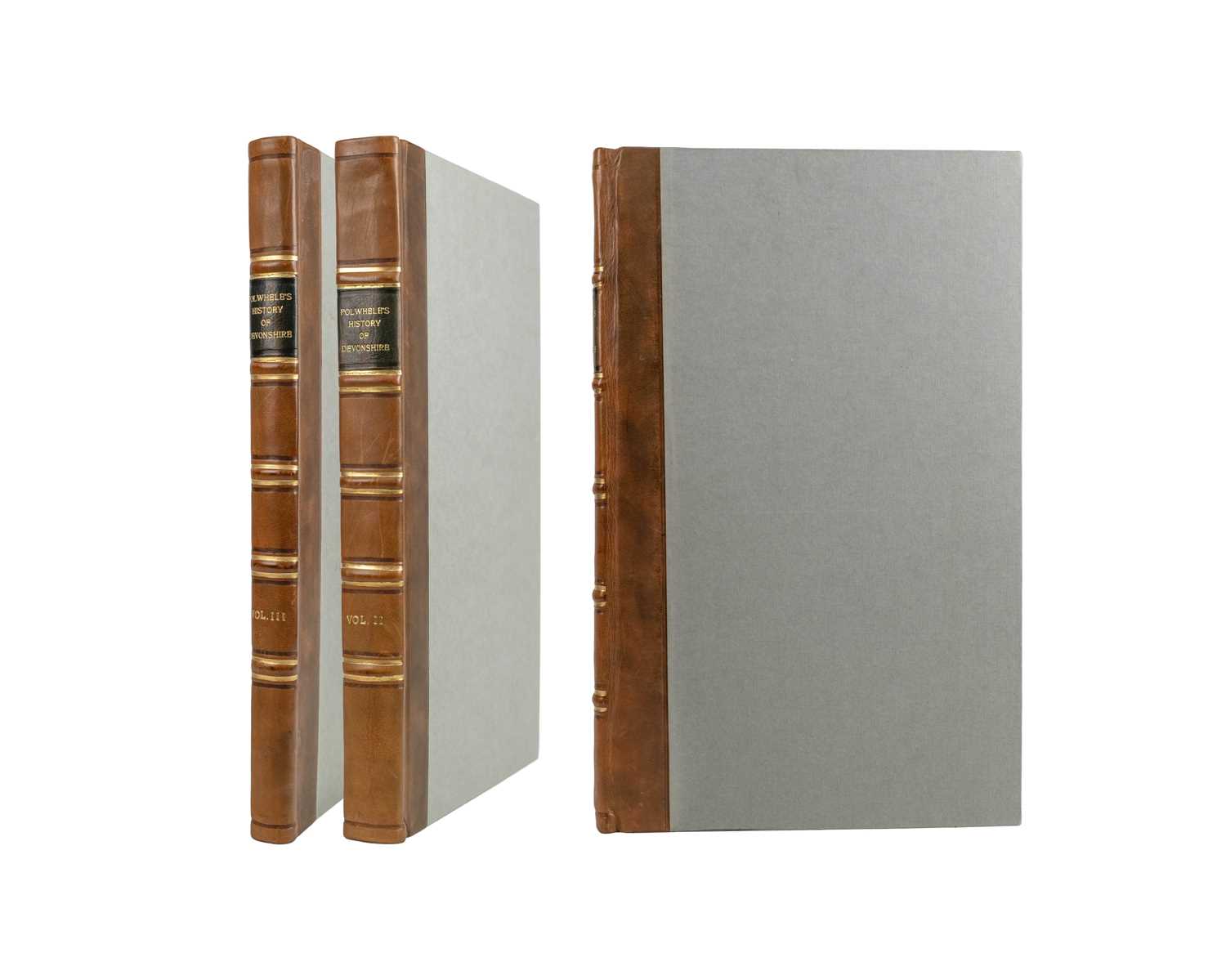 Lot 48 - (Devon) Richard Polwhele