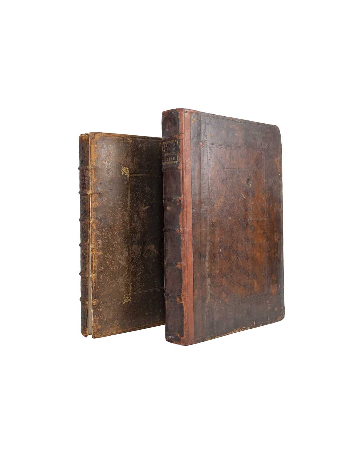 Lot 34 - Robert Plot