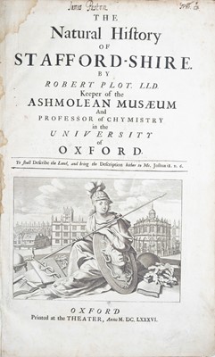 Lot 34 - Robert Plot