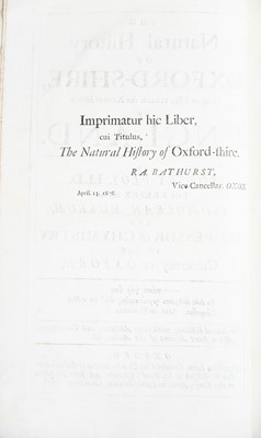 Lot 34 - Robert Plot