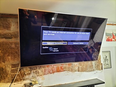 Lot 295 - Panasonic T.V.