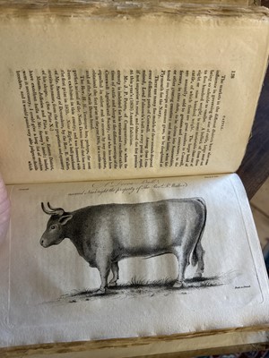 Lot 187 - G. B. Worgan