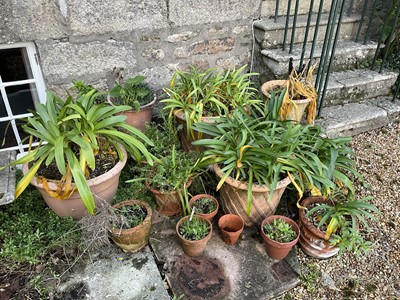 Lot 322 - Garden Planters