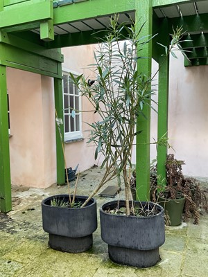 Lot 324 - Pair of Oval Fibreglass Planters