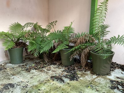 Lot 326 - Set of Four Large Green Glazed Ceramic Planters