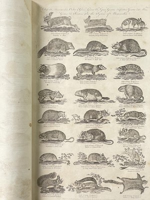 Lot 88 - William Henry Hall and Thomas Augustus Lloyd