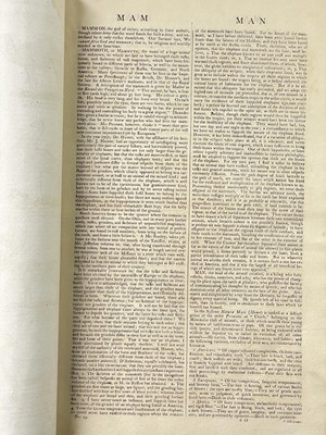 Lot 88 - William Henry Hall and Thomas Augustus Lloyd
