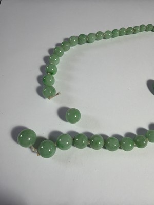Lot 4 - A green jadeite graduated bead necklace with white gold clasp, in need of re-stringing.