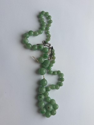 Lot 4 - A green jadeite graduated bead necklace with white gold clasp, in need of re-stringing.