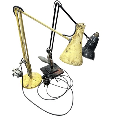 Lot 9 - Two Herbert Terry Anglepoise lamps, one...