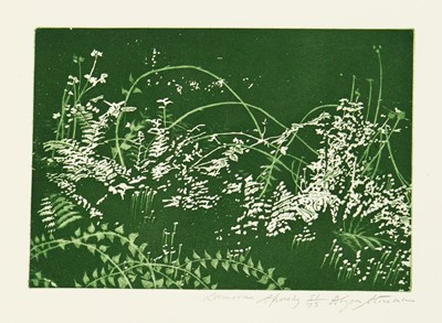 Lot 358 - Alyson STONEMAN (1948)