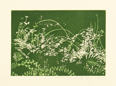 Lot 59 - Alyson STONEMAN (1948)