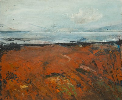 Lot 504 - Essex TYLER (1973)