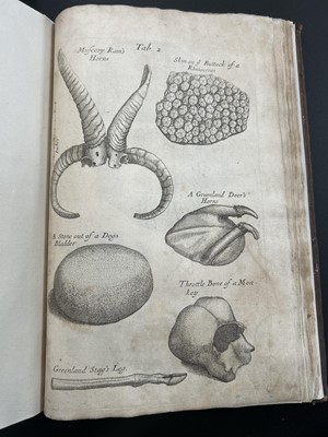 Lot 45 - Nehemiah Grew