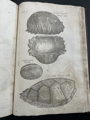 Lot 45 - Nehemiah Grew