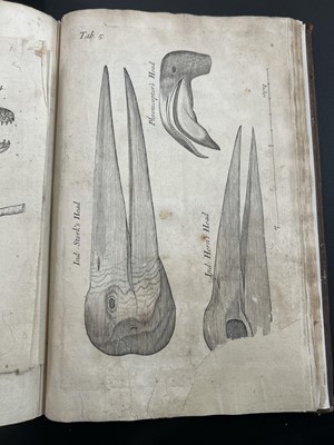 Lot 45 - Nehemiah Grew