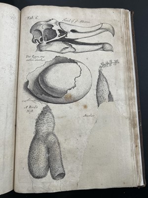 Lot 45 - Nehemiah Grew