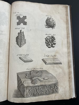 Lot 45 - Nehemiah Grew