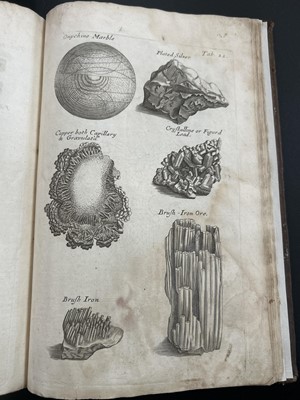 Lot 45 - Nehemiah Grew