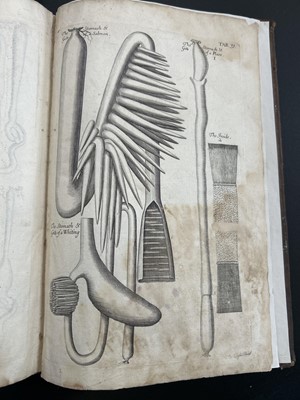 Lot 45 - Nehemiah Grew