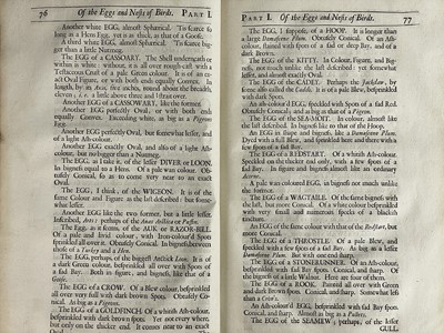 Lot 45 - Nehemiah Grew