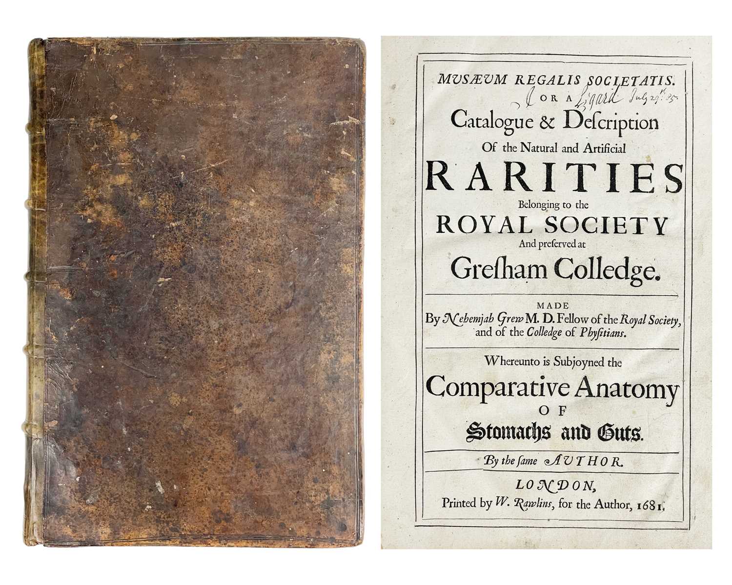 Lot 45 - Nehemiah Grew