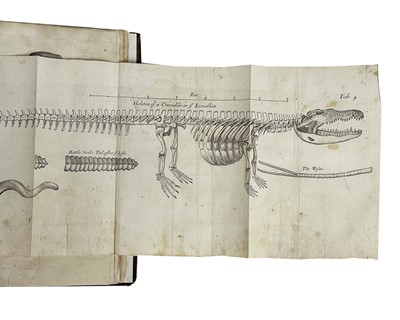 Lot 45 - Nehemiah Grew