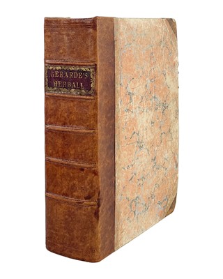 Lot (Botany) John Gerard