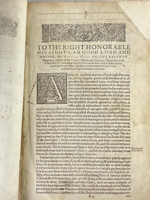 Lot (Botany) John Gerard