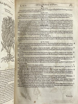 Lot (Botany) John Gerard