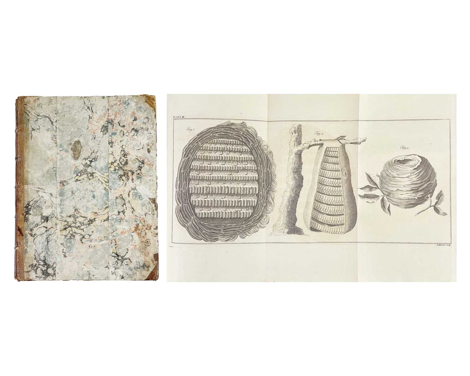 Lot 53 - (Apiculture) Thomas Wildman