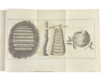 Lot 53 - (Apiculture) Thomas Wildman