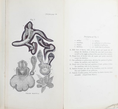 Lot 55 - (First Edition) Charles Darwin