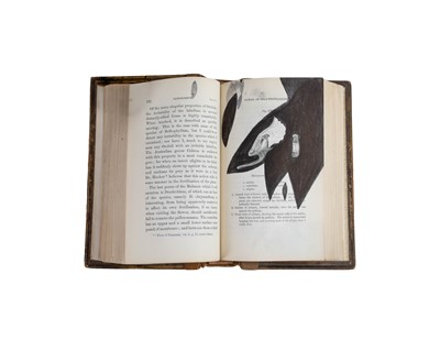 Lot 55 - (First Edition) Charles Darwin